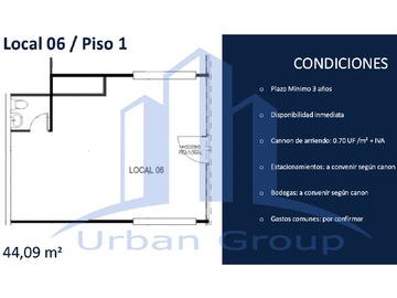 Imagen 11