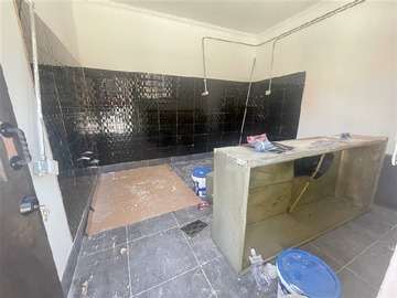 Imagen 7