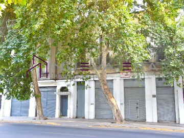 Imagen 7