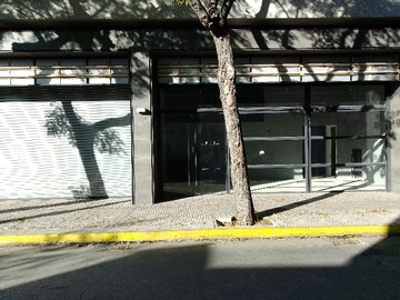 Imagen 0