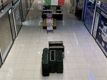 Imagen 4