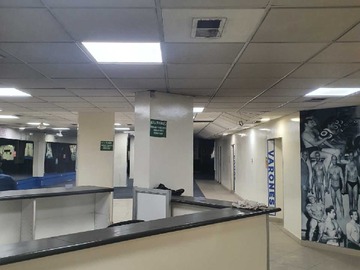 Imagen 11