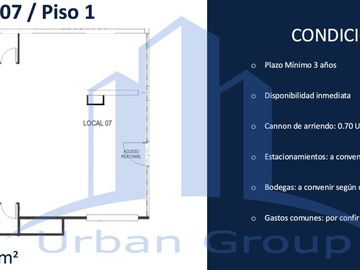 Imagen 11
