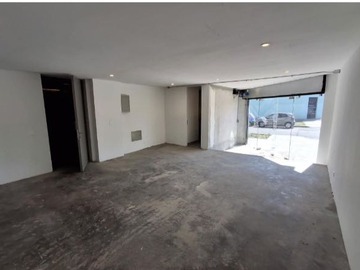 Arriendo Mensual / Local Comercial / Santiago