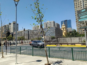 Imagen 23