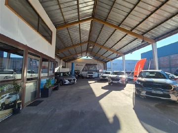 Imagen 5