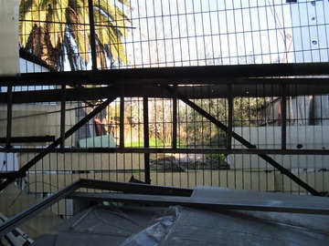 Imagen 13