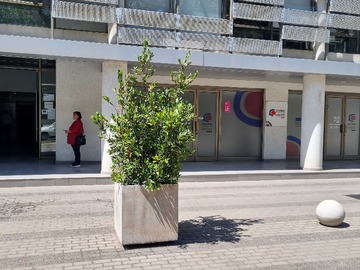 Imagen 14