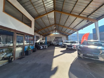 Imagen 4