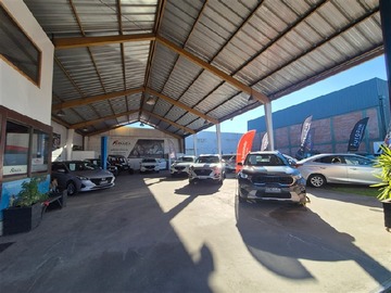 Imagen 6