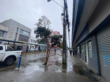 Imagen 14
