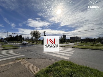 Imagen 21
