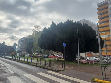 Imagen 21