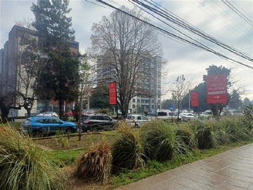 Imagen 15