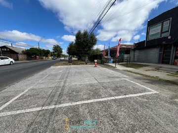 Imagen 6