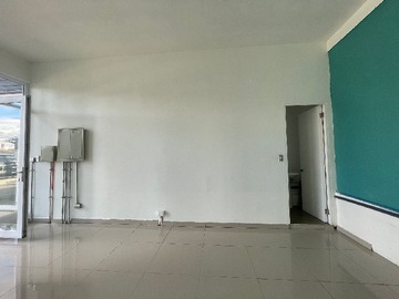 Imagen 6