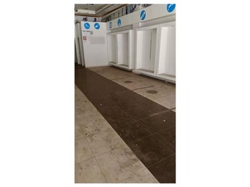 Imagen 5