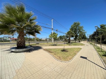 Imagen 12