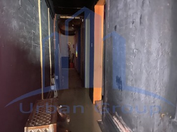 Imagen 5