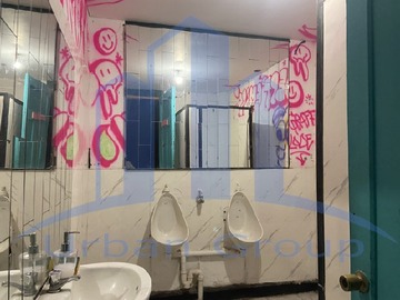 Imagen 11