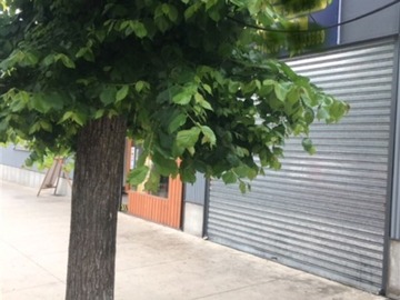 Arriendo Mensual / Local Comercial / Viña del Mar