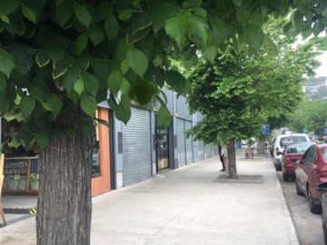 Arriendo Mensual / Local Comercial / Viña del Mar