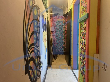 Imagen 8