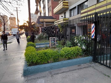 Imagen 15