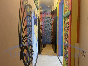 Imagen 13