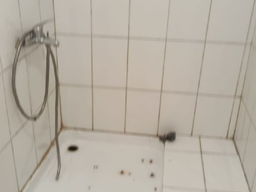 Imagen 5