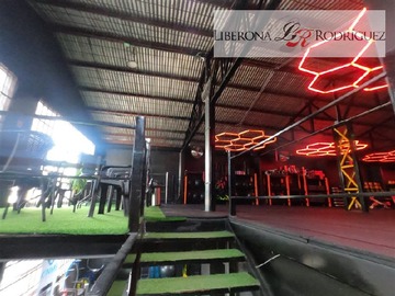 Imagen 5