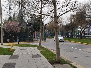 Imagen 10