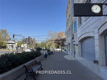 Imagen 5