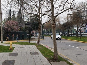 Imagen 4