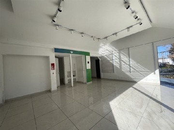 Imagen 6