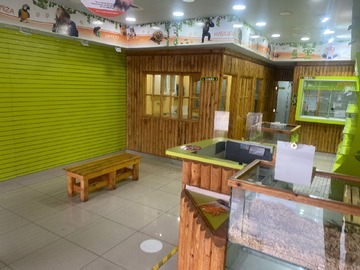 Imagen 5