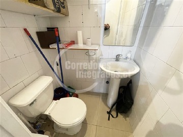 Imagen 5