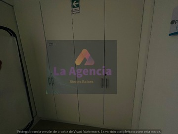 Imagen 8