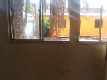 Imagen 13