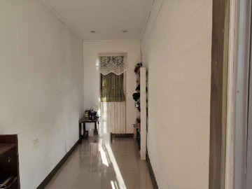Imagen 15