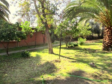Imagen 14