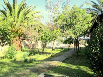 Imagen 16