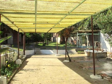 Imagen 13