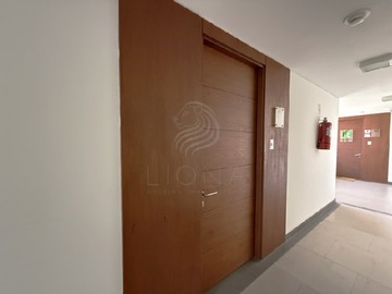 Imagen 14