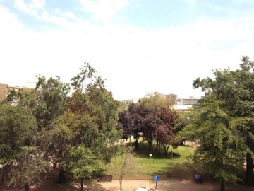 Imagen 5