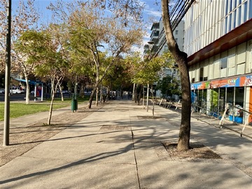 Imagen 10