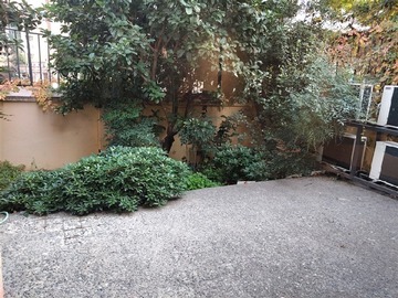 Imagen 8