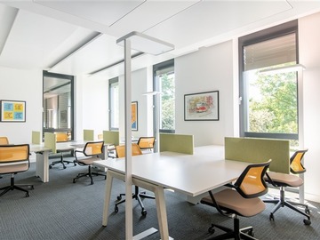 Imagen 6