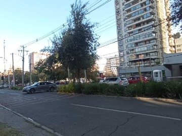 Imagen 22