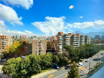 Imagen 12